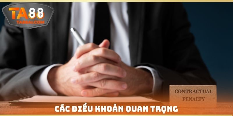 Các điều khoản quan trọng