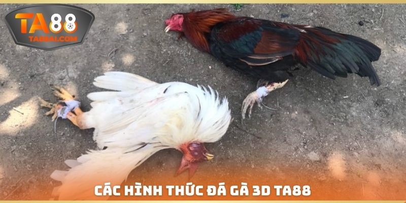Các hình thức chọi gà hấp dẫn trực tiếp 3D tại TA88