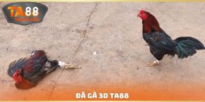 Đá Gà 3D TA88