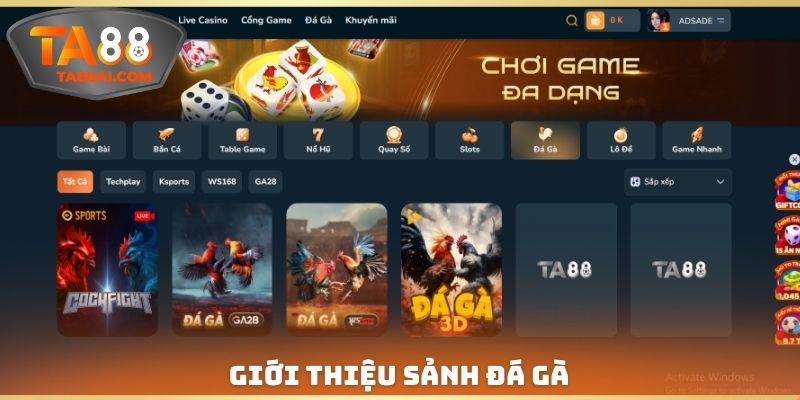 Giới thiệu sảnh đá gà